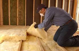 Best Batt and Roll Insulation  in Bay Hill, FL