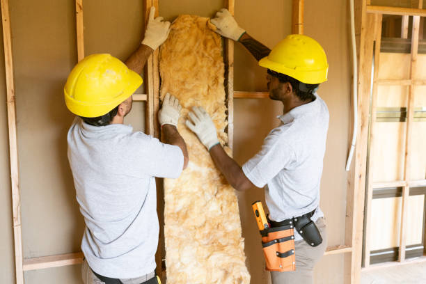 Best Attic Insulation Installation  in Bay Hill, FL